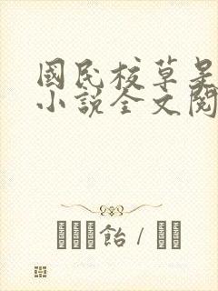 国民校草是女生小说全文阅读封面