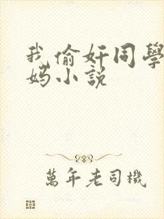 我偷奸同学的妈妈小说