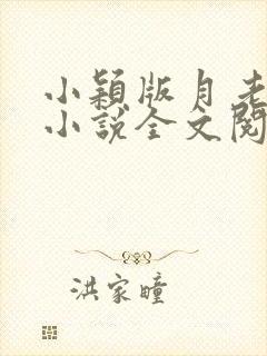 小颖版月老小颖小说全文阅读