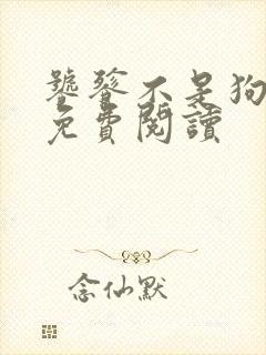 饕餮不是狗小说免费阅读