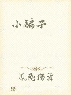 小骗子封面