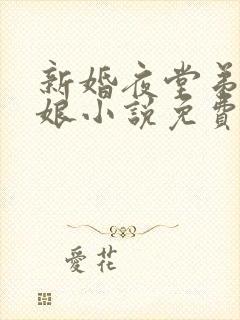 新婚夜堂弟上新娘小说免费阅读最新