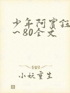 少年阿宾钰慧1～80全文