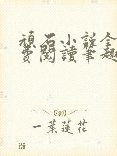 顽石小说全文免费阅读笔趣阁