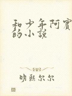 和少年阿宾一样的小说封面