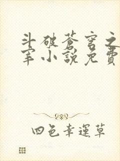 斗破苍穹之大主宰小说免费阅读全文封面