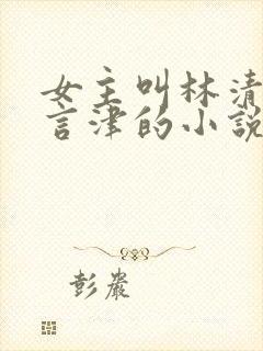 女主叫林清妍宋言津的小说免费阅读