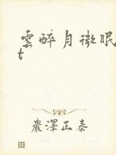 云醉月微眠txt封面
