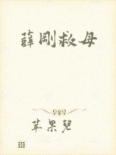 薛刚救母