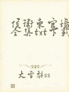 侯卫东官场笔记全集txt下载