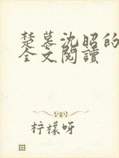 楚慕沈昭的小说全文阅读