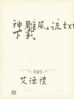 神雕风流txt下载