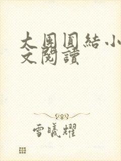 大团圆结小茹全文阅读