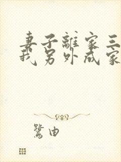 妻子离家三年,我另外成家了小说免费阅读