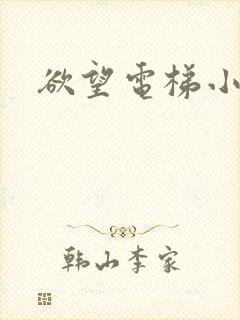 欲望电梯小说