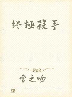 终极杀手