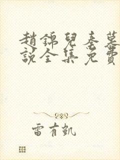赵锦儿秦慕修小说全集免费封面