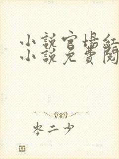 小说官场红颜的小说免费阅读