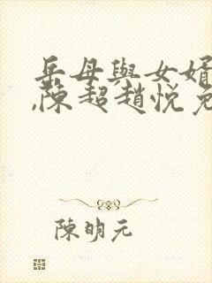 岳母与女婿小说,陈超赵悦免费阅读