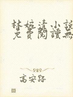 林婉清小说全文免费阅读无弹窗封面