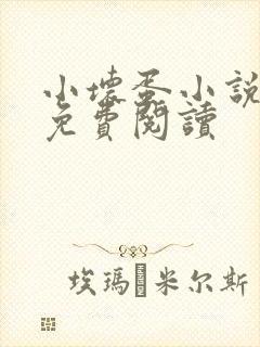 小坏蛋小说全文免费阅读