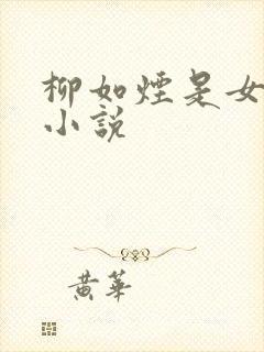 柳如烟是女主的小说封面