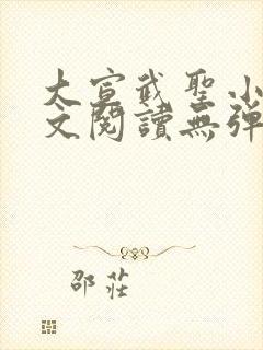 大宣武圣小说全文阅读无弹窗