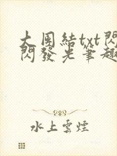 大团结txt闪闪发光笔趣阁