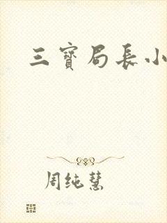 三宝局长小说