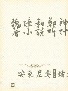 魏璋和郑神怜原著小说叫什么