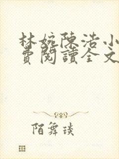 林婉陈浩小说免费阅读全文最新章节封面
