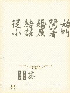 从结婚开始恋爱小说原著叫什么