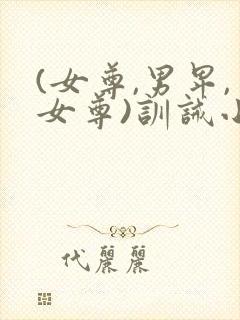 (女尊,男卑,女尊)训诫小说封面