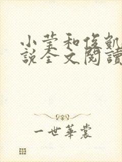 小莹和俊凯的小说全文阅读