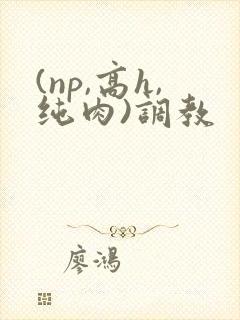 (np,高h,纯肉)调教封面