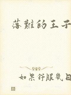 落难的王子封面