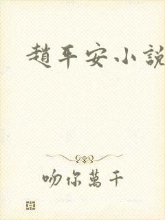 赵平安小说主角