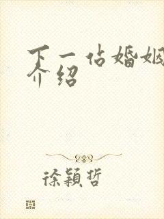 下一站婚姻剧情介绍