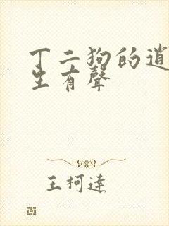丁二狗的逍遥人生有声封面