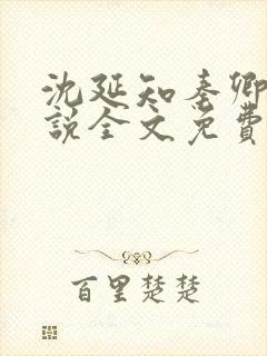 沈延知秦卿卿小说全文免费封面