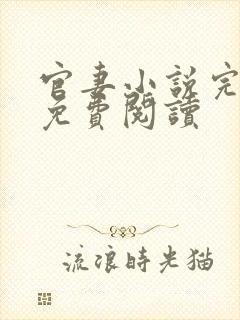 官妻小说完结版免费阅读