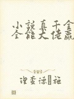 小说真千金她是全能大佬嬴子衿正版