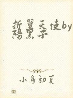 折翼天使by太阳黑子封面