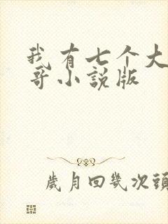 我有七个大佬哥哥小说版