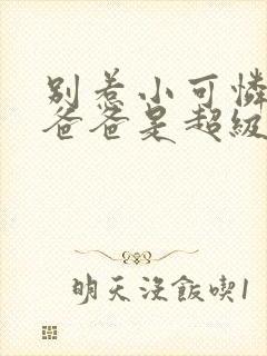 别惹小可怜,她爸爸是超级女儿奴小说