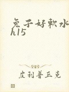 兔子好软水好多h15