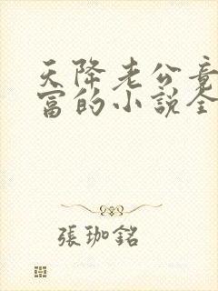 天降老公竟是首富的小说全文阅读