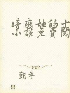 暗恋她的十一年小说免费阅读