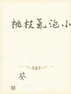 桃枝气泡小说