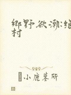 乡野欲潮:绝色村封面